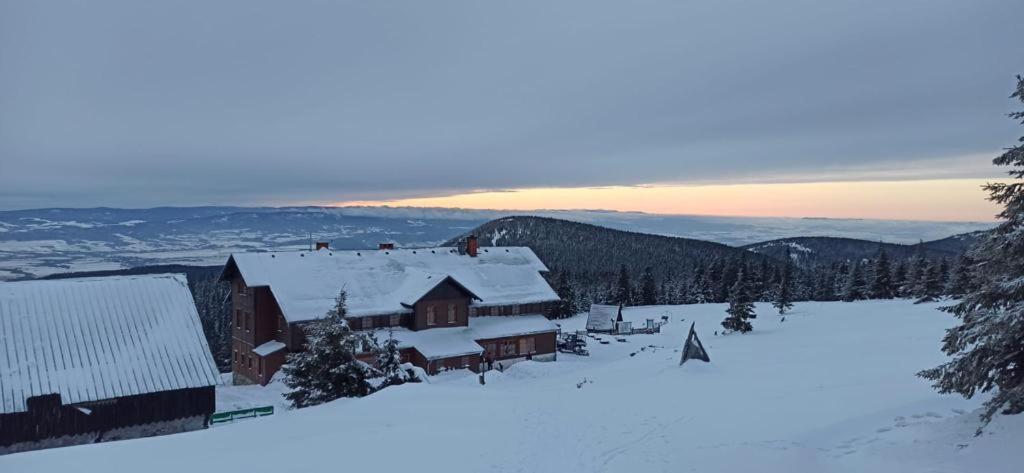 Willa Janina Ladek-Zdroj Bagian luar foto