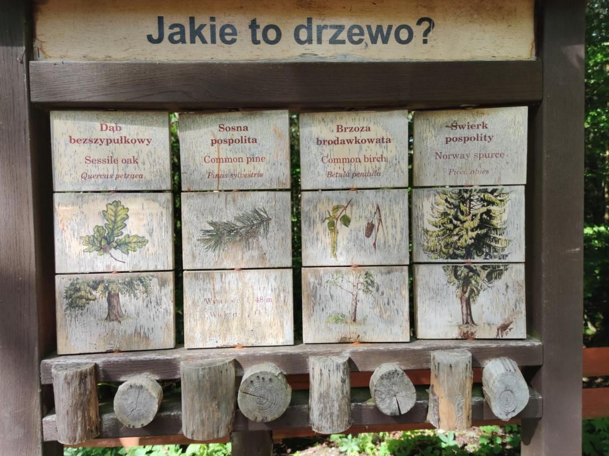 Willa Janina Ladek-Zdroj Bagian luar foto